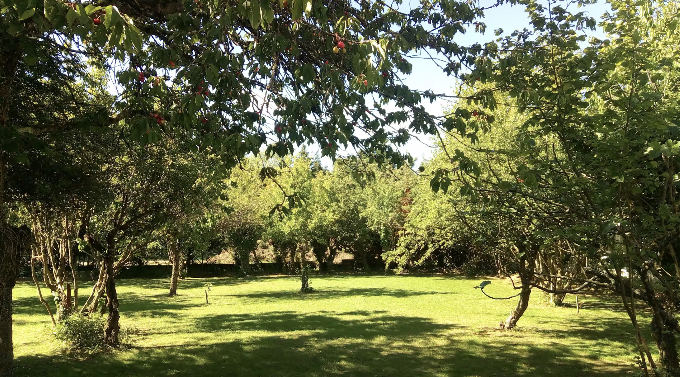 Le verger clos du grand gîte Un Verger en Ville près de Tours